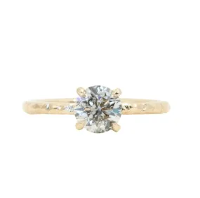 0.97ct Round Salt And Pepper Diamond Evergreen Solitaire in 14k Yellow Gold