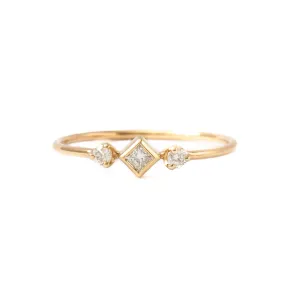 Princess & Two Prong Diamond Ring