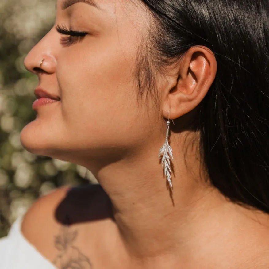 Silver Cedar Bough Earrings